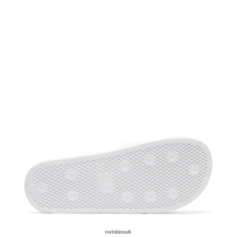 Redskins Footwear Men WHITE Clakan Mule RB620P262